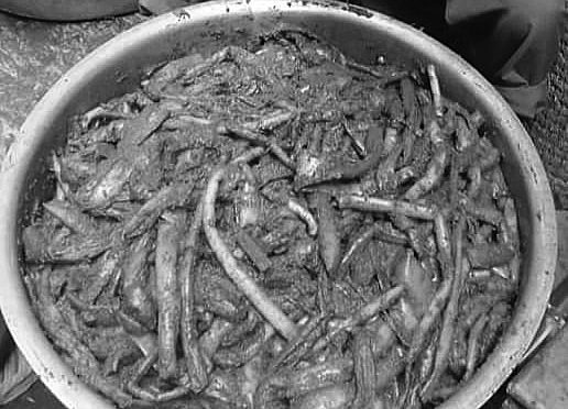 गुन्दु्र, सनांघासा, सिन्कि व सिनामनि फीगु प्रविधि