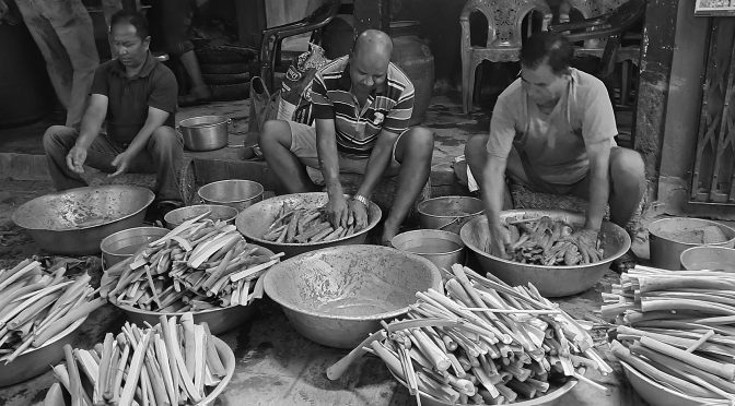 गुन्दु्र, सनांघासा, सिन्कि व सिनामनि फीगु प्रविधि