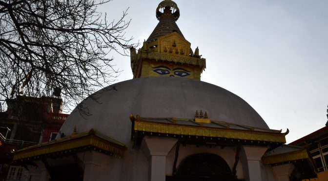 पाटी विहार