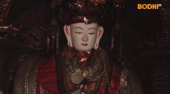 नाला करुणमय जात्रा