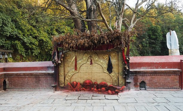 तिष्तुङ्, पालुङ व भीमफेदीया देगः व सम्पदा