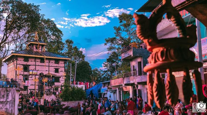 तौथलीया जात्रा